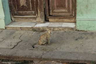 La Habana - Hay Vida Después de la Oficina